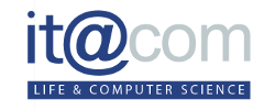File Icons